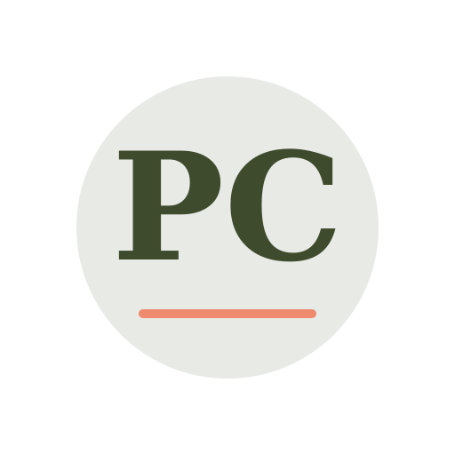 Patty Chimney Repair logo